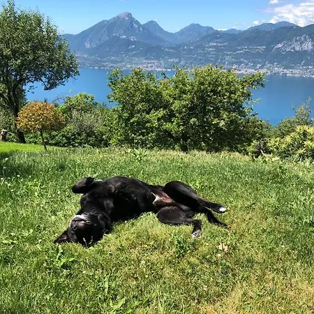 Favai Hills Your Secret Hideaway 4* Brenzone sul Garda