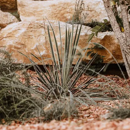 Bed & Breakfast Favai Hills Your Secret Hideaway Brenzone sul Garda